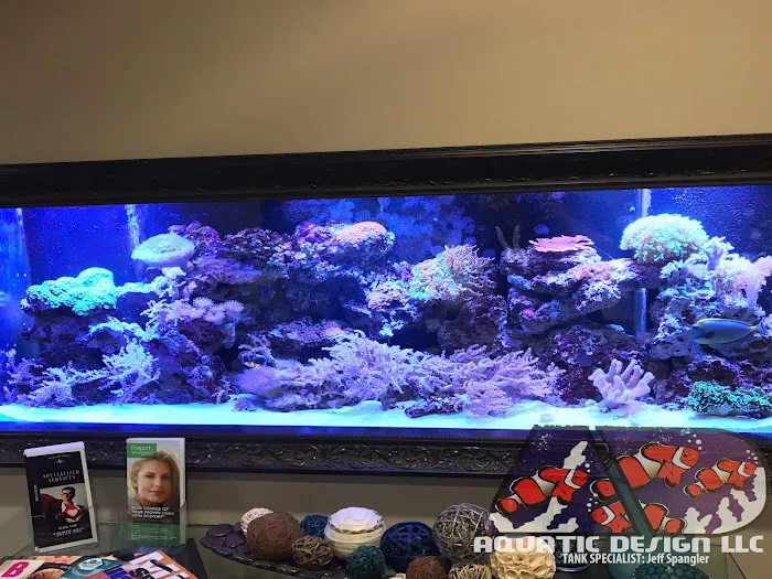 Aquatic Design Aquariums Picture 10