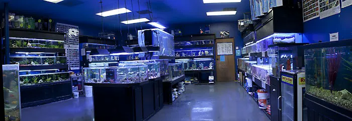 Aquatic Design Aquariums Picture 9