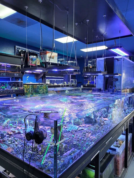Aquatic Design Aquariums Picture 6