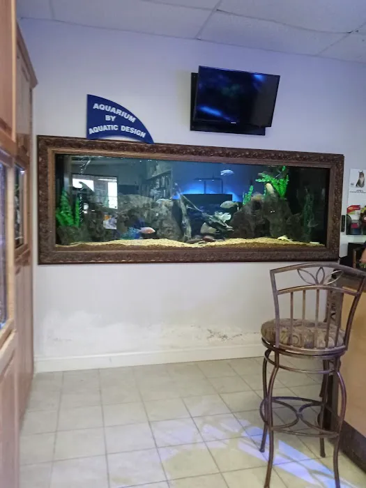 Aquatic Design Aquariums Picture 2