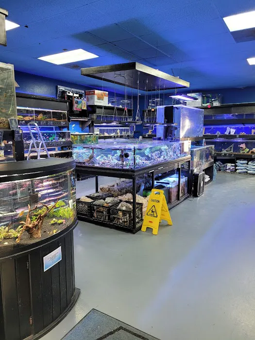 Aquatic Design Aquariums Picture 5