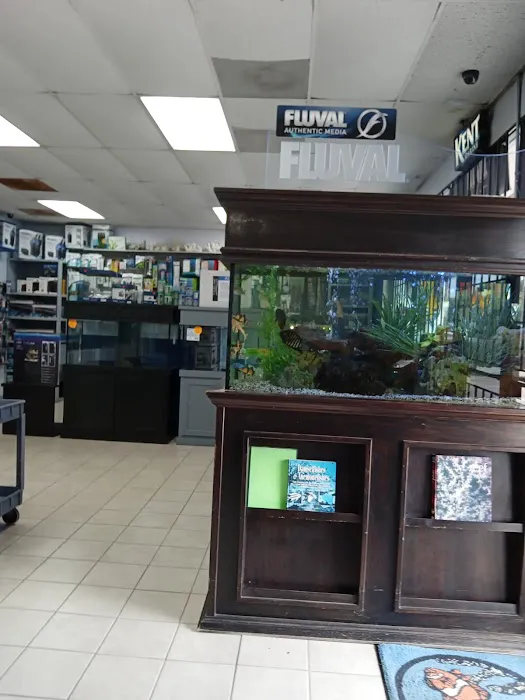 Aquatic Design Aquariums Picture 3