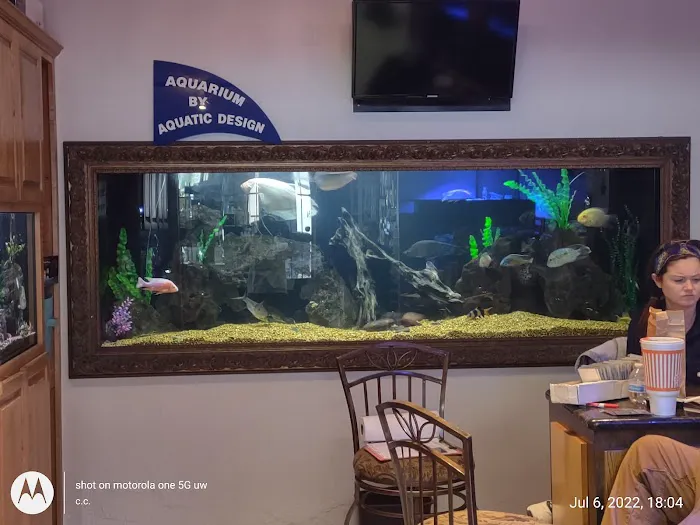 Aquatic Design Aquariums Picture 8