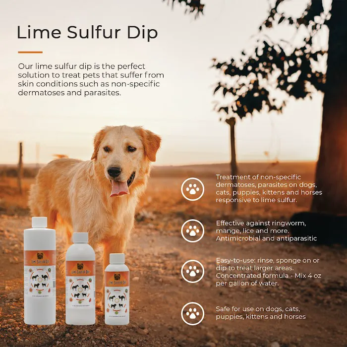 Healthy Paw Life Picture 9