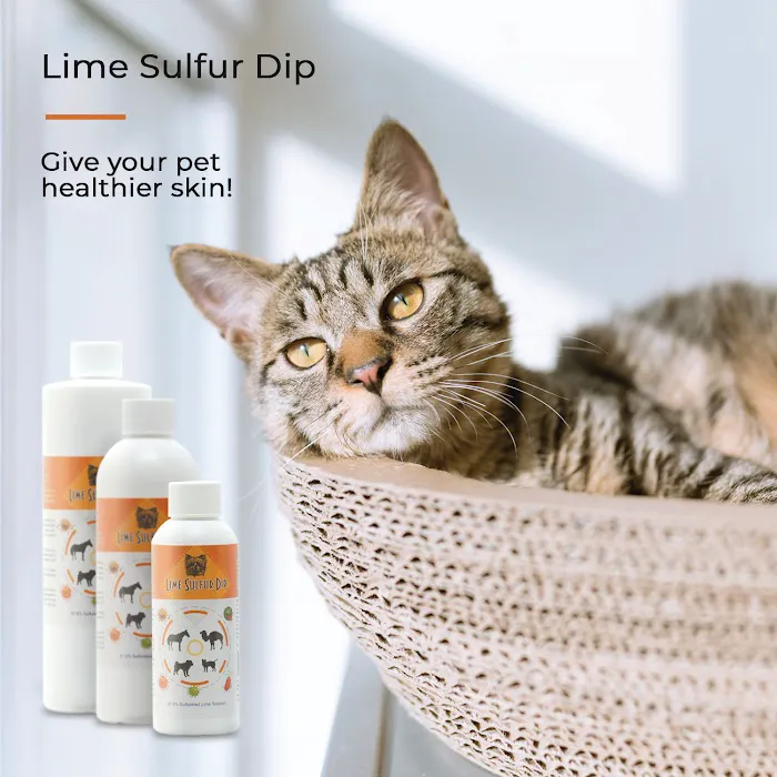 Healthy Paw Life Picture 8