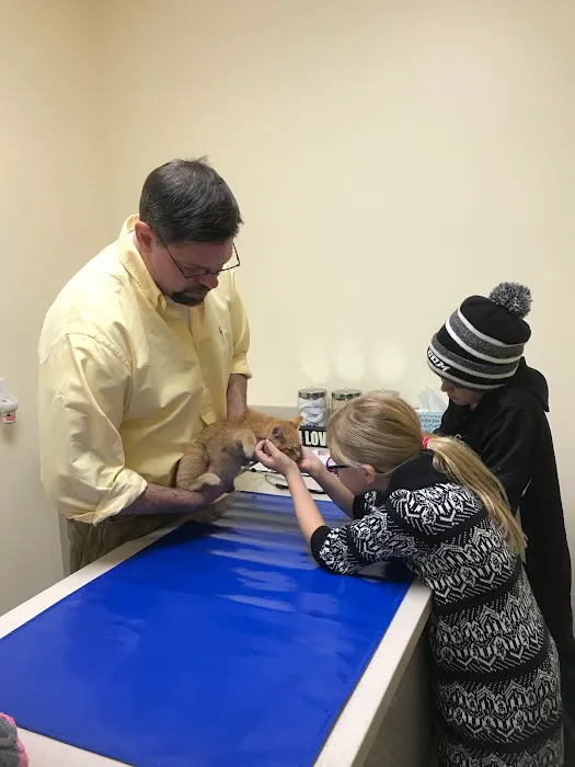 Helping Paws Veterinary Hospital Picture 3