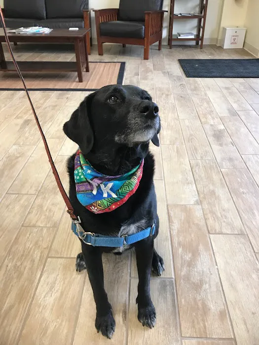 Helping Paws Veterinary Hospital Picture 6