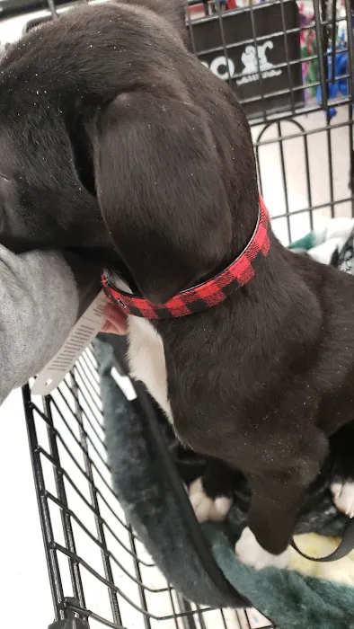 Petco Picture 4