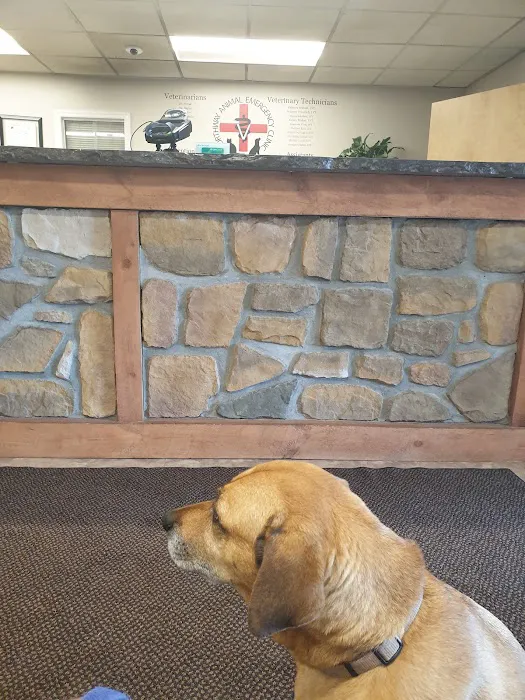 Northway Animal Emergency Clinic Picture 1