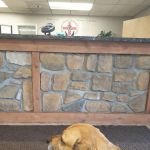 Northway Animal Emergency Clinic