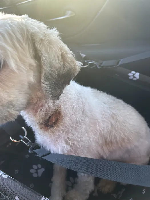 Northway Animal Emergency Clinic Picture 3