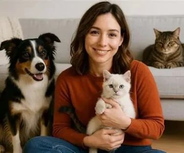 How to Introduce Your Kitten to a New Home with Other Pets