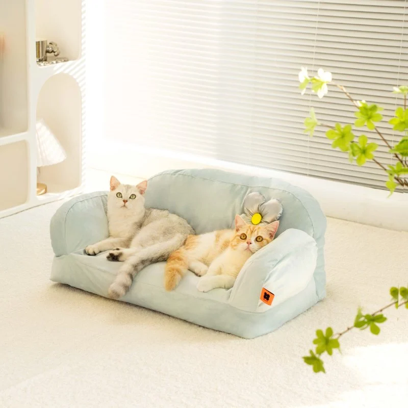How to Keep Your Indoor Cat from Getting Bored