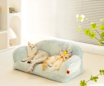 How to Keep Your Indoor Cat from Getting Bored