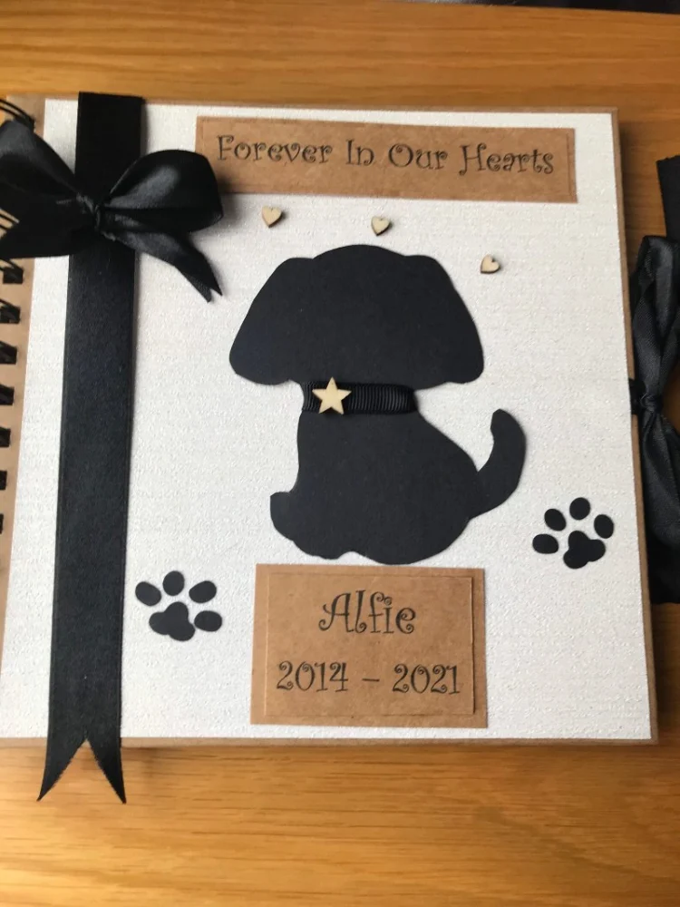 How to Create a Pet Memory Book After They Pass Away