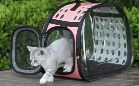 The Best Cat Carriers for Stress-Free Vet Visits | Omnia Pet