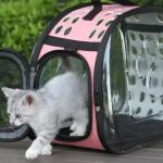 The Best Cat Carriers for Stress-Free Vet Visits | Omnia Pet