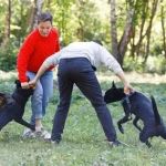 How to Safely Break Up a Dog Fight Without Getting Injured
