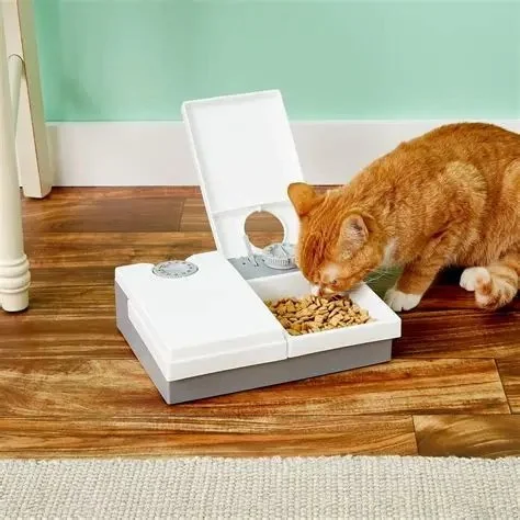 The Best Automatic Feeders and Water Fountains for Cats – Ultimate Guide