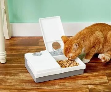 The Best Automatic Feeders and Water Fountains for Cats – Ultimate Guide