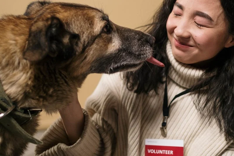 Best Volunteer Opportunities for Animal Lovers – Make a Difference Today