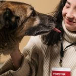 Best Volunteer Opportunities for Animal Lovers – Make a Difference Today