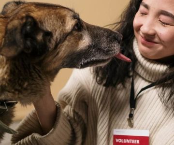 Best Volunteer Opportunities for Animal Lovers – Make a Difference Today