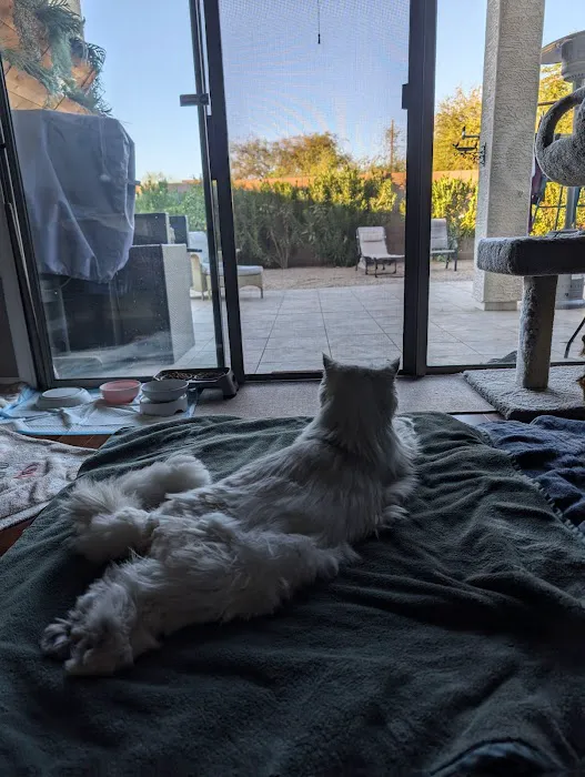 Happy Endings In Home Pet Euthanasia Picture 3