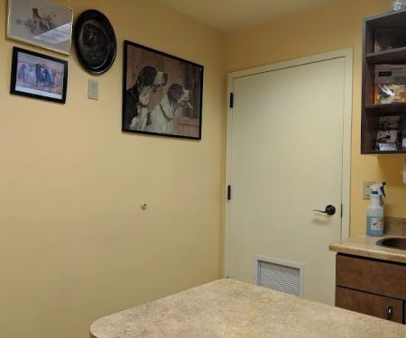 North Kenilworth Veterinary Care