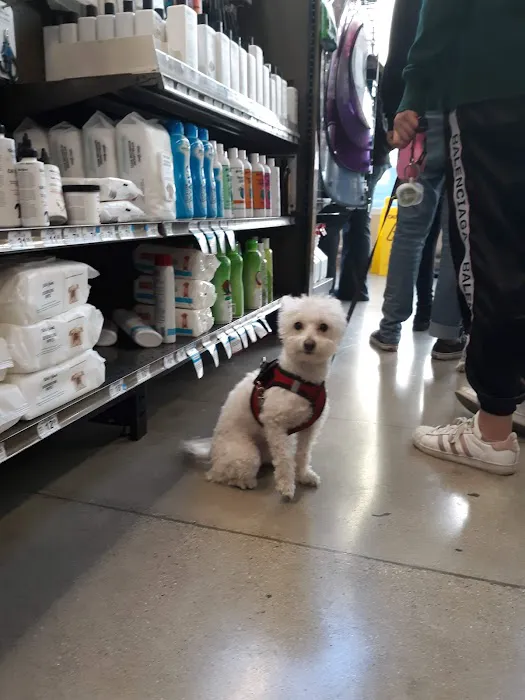 Petco Picture 2