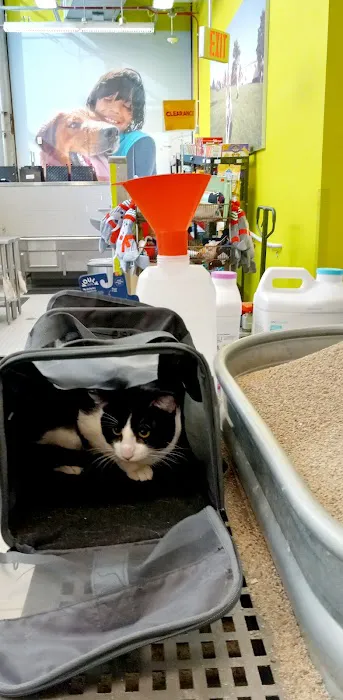 Petco Picture 9