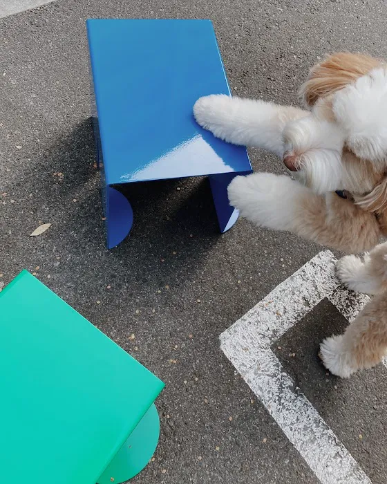 Pretty Good Boy Picture 6