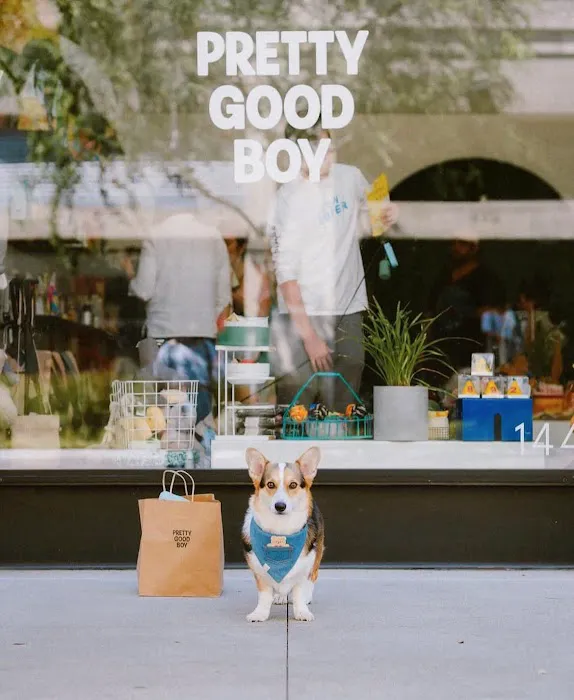 Pretty Good Boy Picture 8