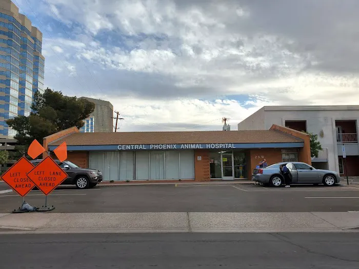 Central Phoenix Animal Hospital Picture 4