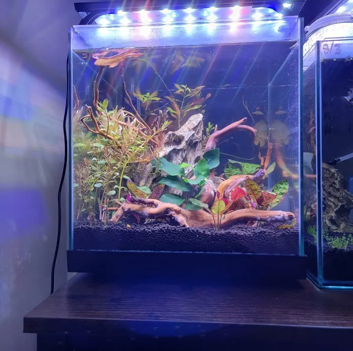 Sunset Pet & Supplies Picture 2
