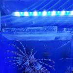Sunset Pet & Supplies