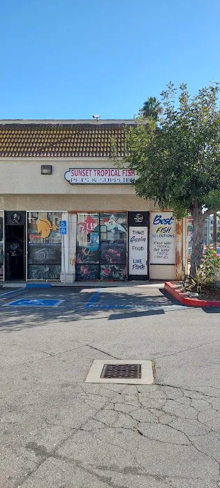 Sunset Pet & Supplies Picture 3