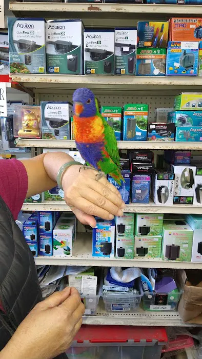 Sunset Pet & Supplies Picture 5