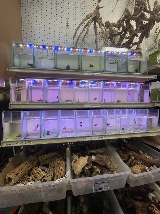 Sunset Pet & Supplies Picture 4