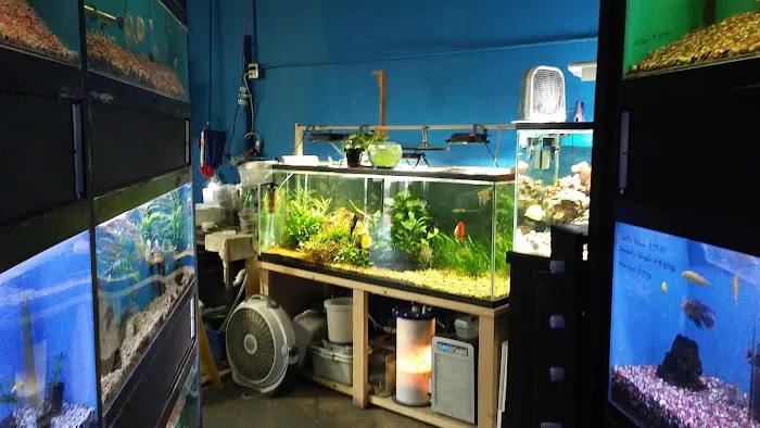 Sunset Pet & Supplies Picture 9