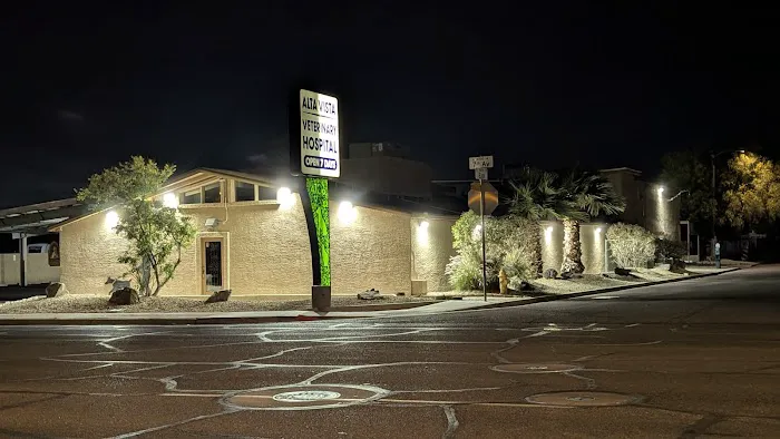 Alta Vista Veterinary Hospital Picture 6