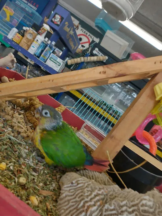 Pet Care Inc. Picture 1