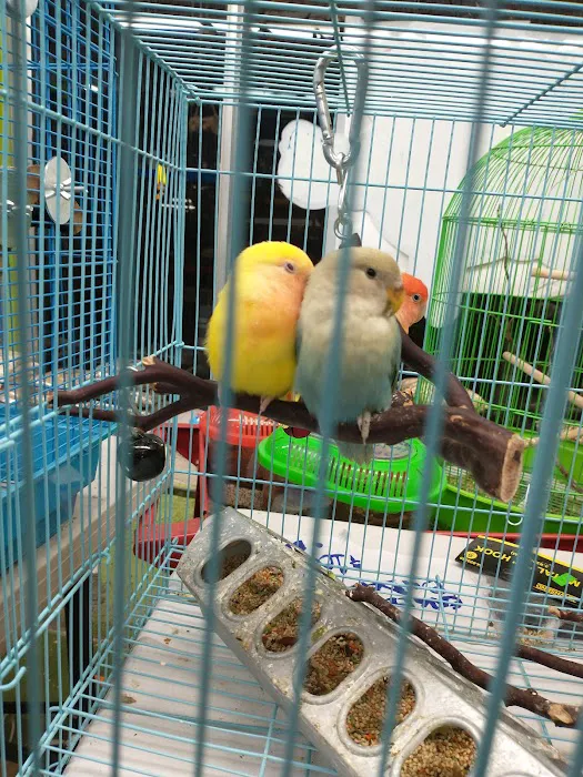 Pet Care Inc. Picture 5