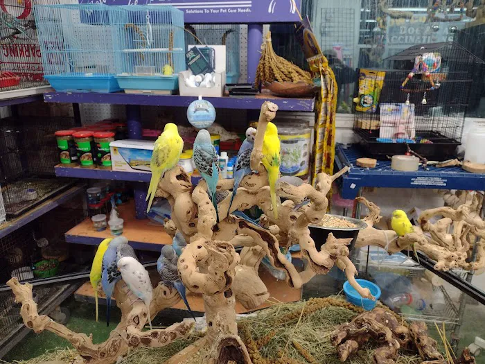 Pet Care Inc. Picture 4