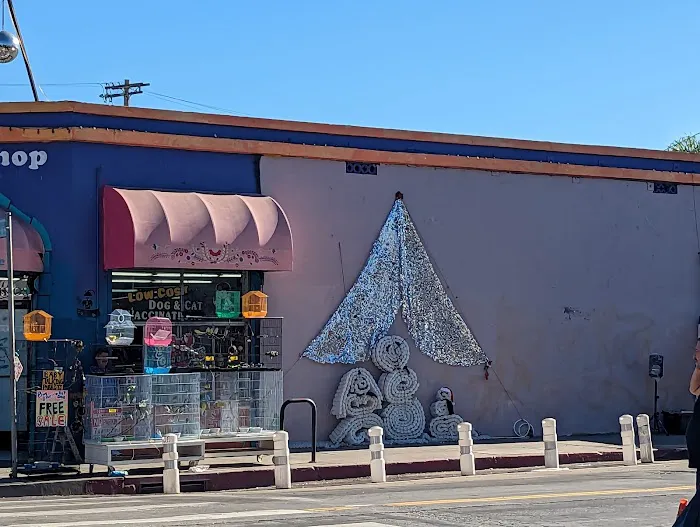 Pet Care Inc. Picture 10