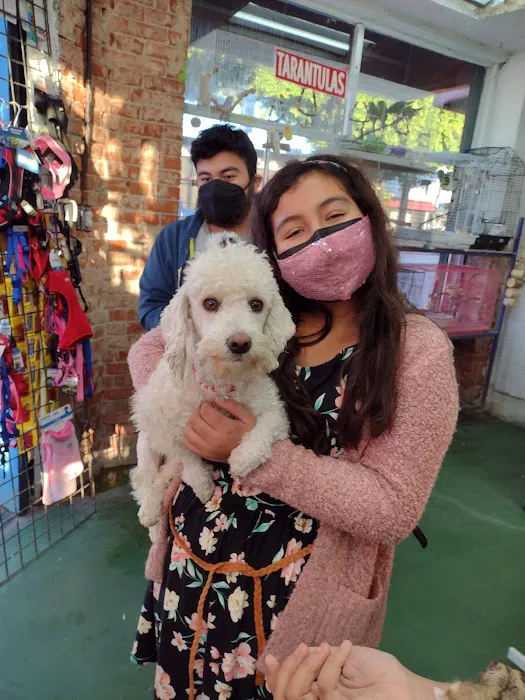 Pet Care Inc. Picture 8