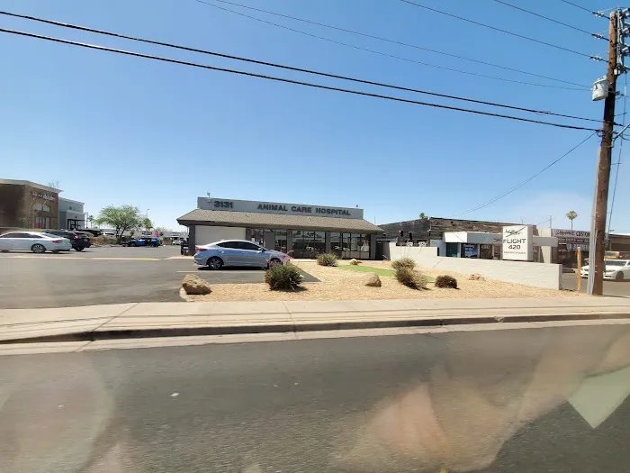 Animal Care Hospital of Phoenix Picture 3