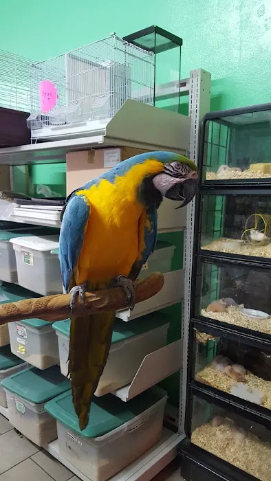 Pete’s Pet Supply Picture 6