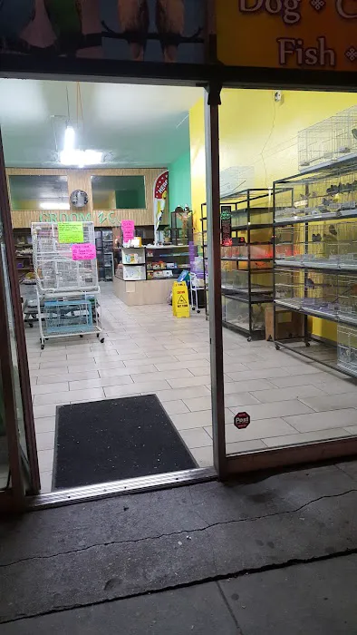 Pete’s Pet Supply Picture 5