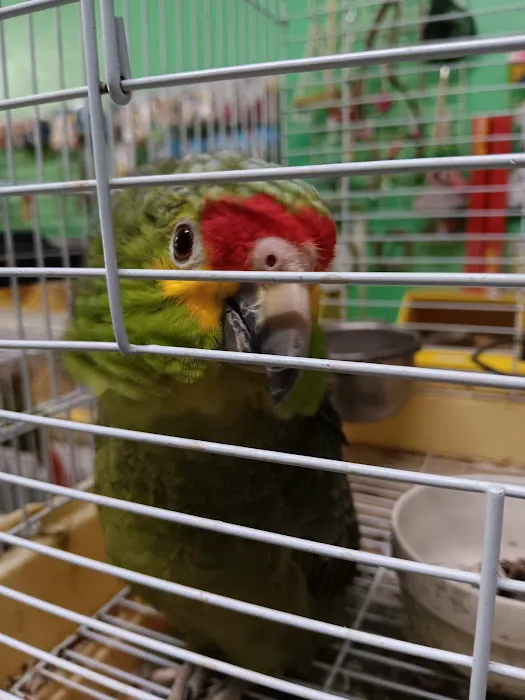 Pete’s Pet Supply Picture 1